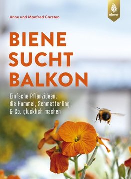 Biene sucht Balkon