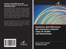 Gestione dell'efficienza del processo unitario: Caso di studio sull'idrociclone