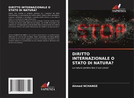 DIRITTO INTERNAZIONALE O STATO DI NATURA?