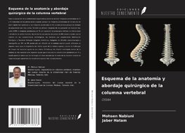 Esquema de la anatomía y abordaje quirúrgico de la columna vertebral