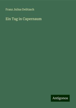 Ein Tag in Capernaum