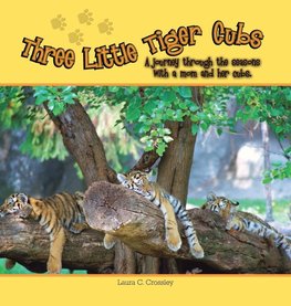 Three Little Tiger Cubs