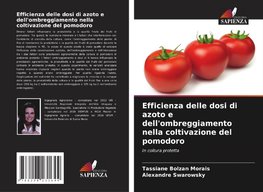 Efficienza delle dosi di azoto e dell'ombreggiamento nella coltivazione del pomodoro