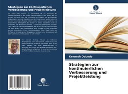 Strategien zur kontinuierlichen Verbesserung und Projektleistung