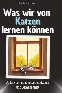 Was wir von Katzen lernen können