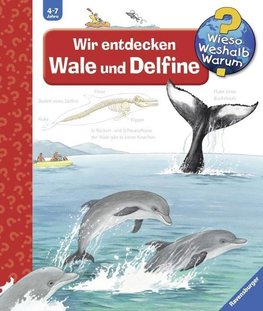 Wir entdecken Wale und Delfine