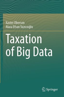 Taxation of Big Data