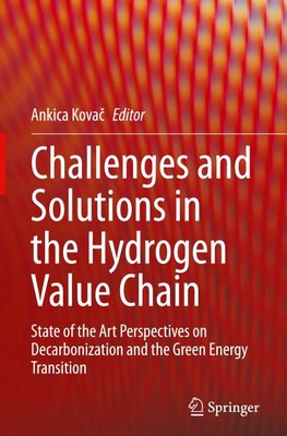 Challenges and Solutions in the Hydrogen Value Chain