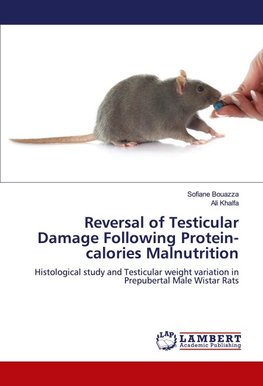 Reversal of Testicular Damage Following Protein-calories Malnutrition