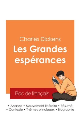 Réussir son Bac de français 2025 : Analyse du roman Les Grandes espérances de Charles Dickens