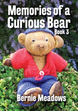 Memories of a Curious Bear