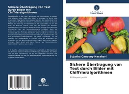 Sichere Übertragung von Text durch Bilder mit Chiffrieralgorithmen