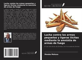 Lucha contra las armas pequeñas y ligeras ilícitas mediante la amnistía de armas de fuego