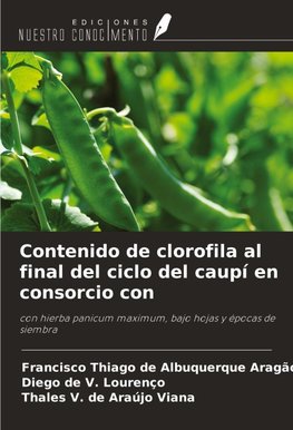 Contenido de clorofila al final del ciclo del caupí en consorcio con