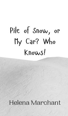 Pile of Snow, or My Car? Who Knows!