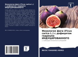 Fenologiq figi (Ficus carica L.) s deficitom gidriuma INDUCIROVANNOGO