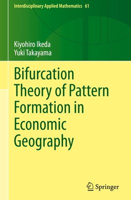 Bifurcation Theory of Pattern Formation  in Economic Geography