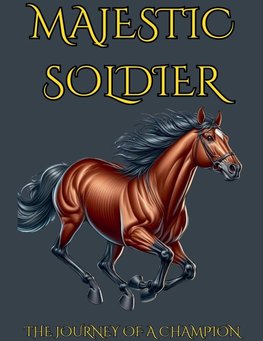 Majestic Soldier The Journey Of A Champion