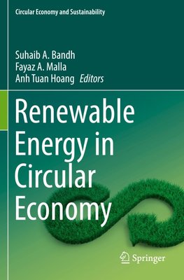 Renewable Energy in Circular Economy