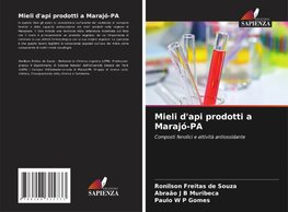 Mieli d'api prodotti a Marajó-PA