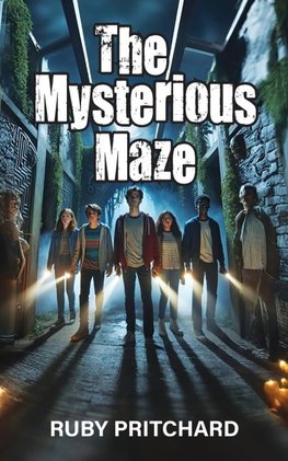 The Mysterious Maze