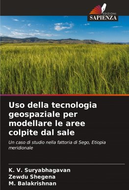 Uso della tecnologia geospaziale per modellare le aree colpite dal sale