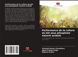 Performance de la culture du blé sous phosphate naturel acidulé