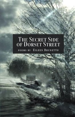 The Secret Side of Dorset Street