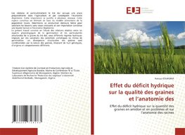 Effet du déficit hydrique sur la qualité des graines et l¿anatomie des