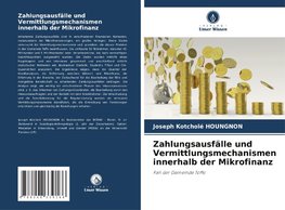 Zahlungsausfälle und Vermittlungsmechanismen innerhalb der Mikrofinanz