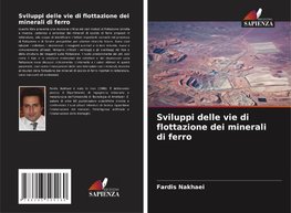 Sviluppi delle vie di flottazione dei minerali di ferro