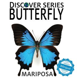 Butterfly / Mariposa