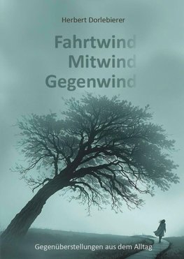 Fahrtwind, Mitwind, Gegenwind