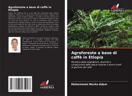 Agroforeste a base di caffè in Etiopia