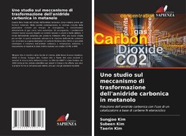 Uno studio sul meccanismo di trasformazione dell'anidride carbonica in metanolo