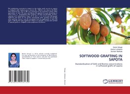 SOFTWOOD GRAFTING IN SAPOTA