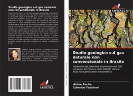 Studio geologico sul gas naturale non convenzionale in Brasile