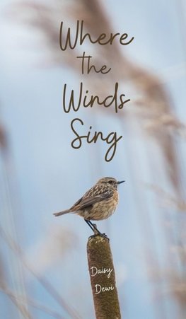 Where the Winds Sing