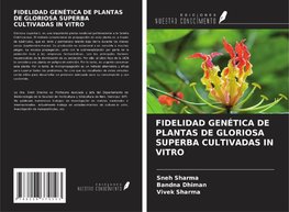 FIDELIDAD GENÉTICA DE PLANTAS DE GLORIOSA SUPERBA CULTIVADAS IN VITRO