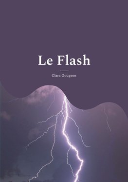 Le Flash