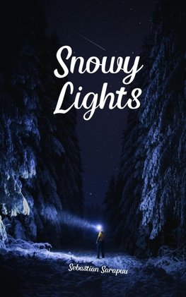 Snowy Lights