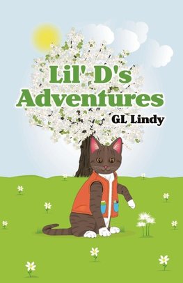 Lil' D's Adventures