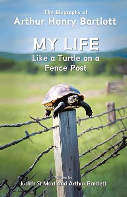 My Life like a Turtle on a Fence Post