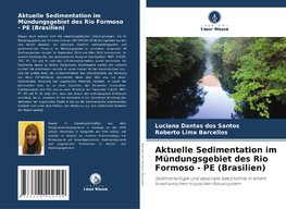 Aktuelle Sedimentation im Mündungsgebiet des Rio Formoso - PE (Brasilien)