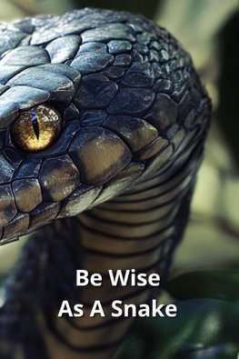 Be Wise As A Snake