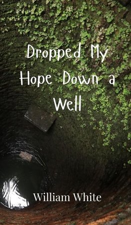 Dropped My Hope Down a Well