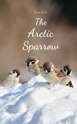 The Arctic Sparrow