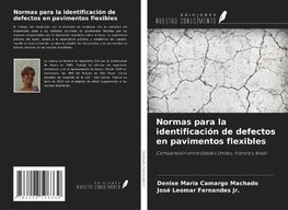 Normas para la identificación de defectos en pavimentos flexibles