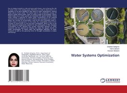 Water Systems Optimization