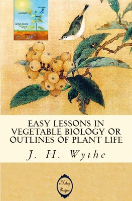 Easy Lessons in Vegetable Biology or Outlines of Plant Life